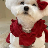 Puppy Bow Knot Princess Dress (Winter Warm Christmas Outfit)