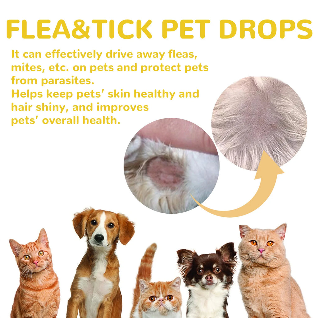 Flea & Tick Treatment Drops for Cats & Dogs — Monthly Spot Treatment