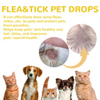 Flea & Tick Treatment Drops for Cats & Dogs — Monthly Spot Treatment