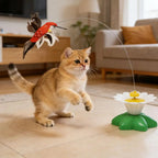 Electric Rotating Butterfly & Hummingbird Wand — Automatic Flying Cat Toy