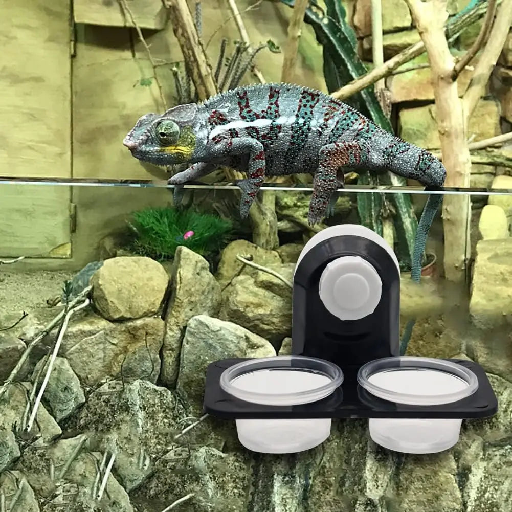 Gecko Feeder Ledge — Detachable Suction Cup Dish for Arboreal Reptiles