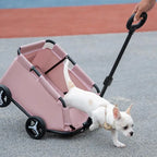 Lightweight Folding 4-Wheel Rolling Cat Carrier Trolley with Shock-Absorbing Wheels