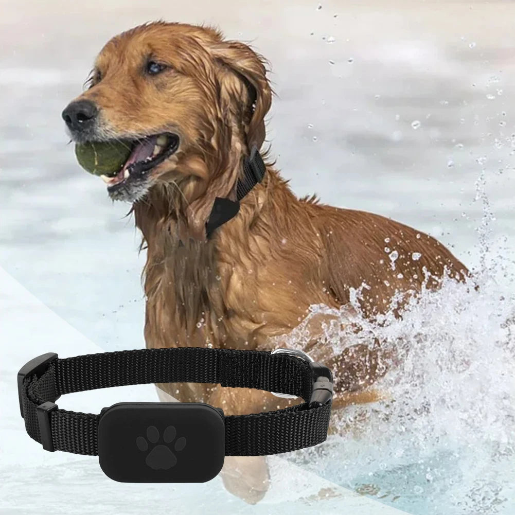 GPS Pet Locator Collar for Dogs & Cats - Adjustable Fit