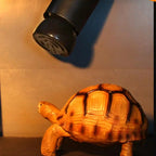 Ceramic Infrared Heat Lamp for Reptiles — No-Light Heating Bulb, E27, 25W–100W