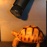 Ceramic Infrared Heat Lamp for Reptiles — No-Light Heating Bulb, E27, 25W–100W