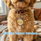 Metal NFC Pet ID Pendant with Smart Touch-to-Find Technology