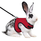 Vest-Style Carrier Bag with Harness & Leash Set for Rabbits