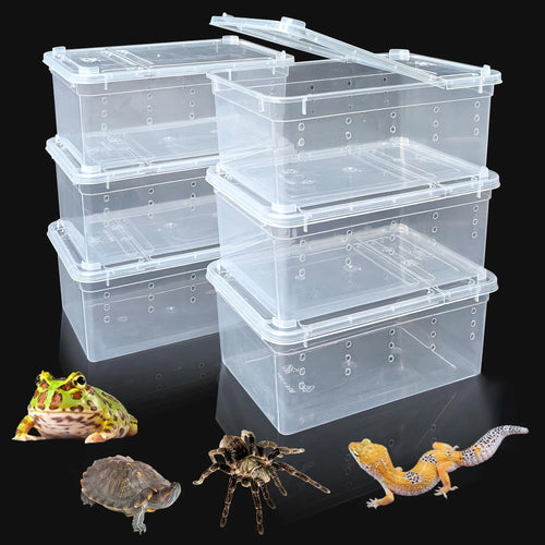 6-Pack Plastic Reptile Transport Containers — Feeding & Housing Boxes for Small Species