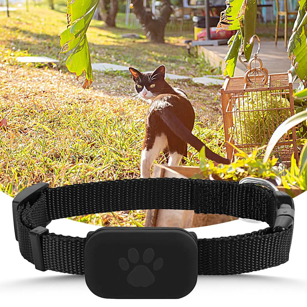 Multifunctional GPS Collar Tracker for Cats & Kittens (iOS)