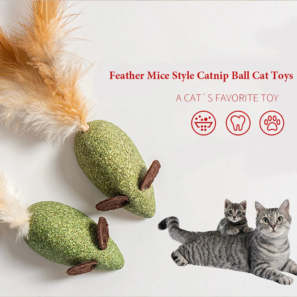 Mint Catnip Feather Ball Cat Toy — Self-Cleaning Teeth Grinding & Dental Play Toy