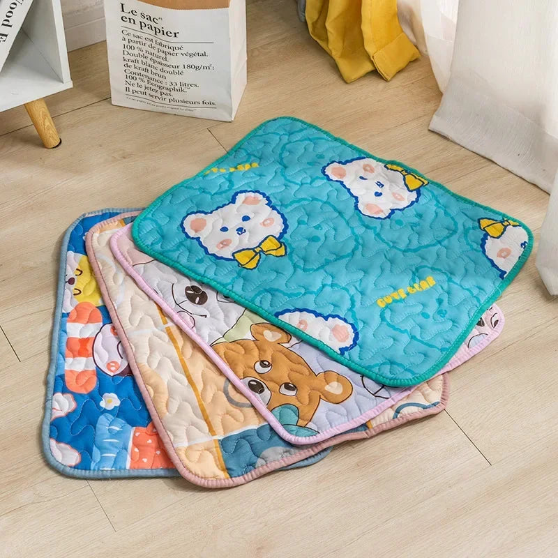 Multi-Functional Washable Pet Mat