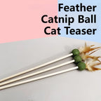 Catnip Feather Teaser Wand (Multipack)