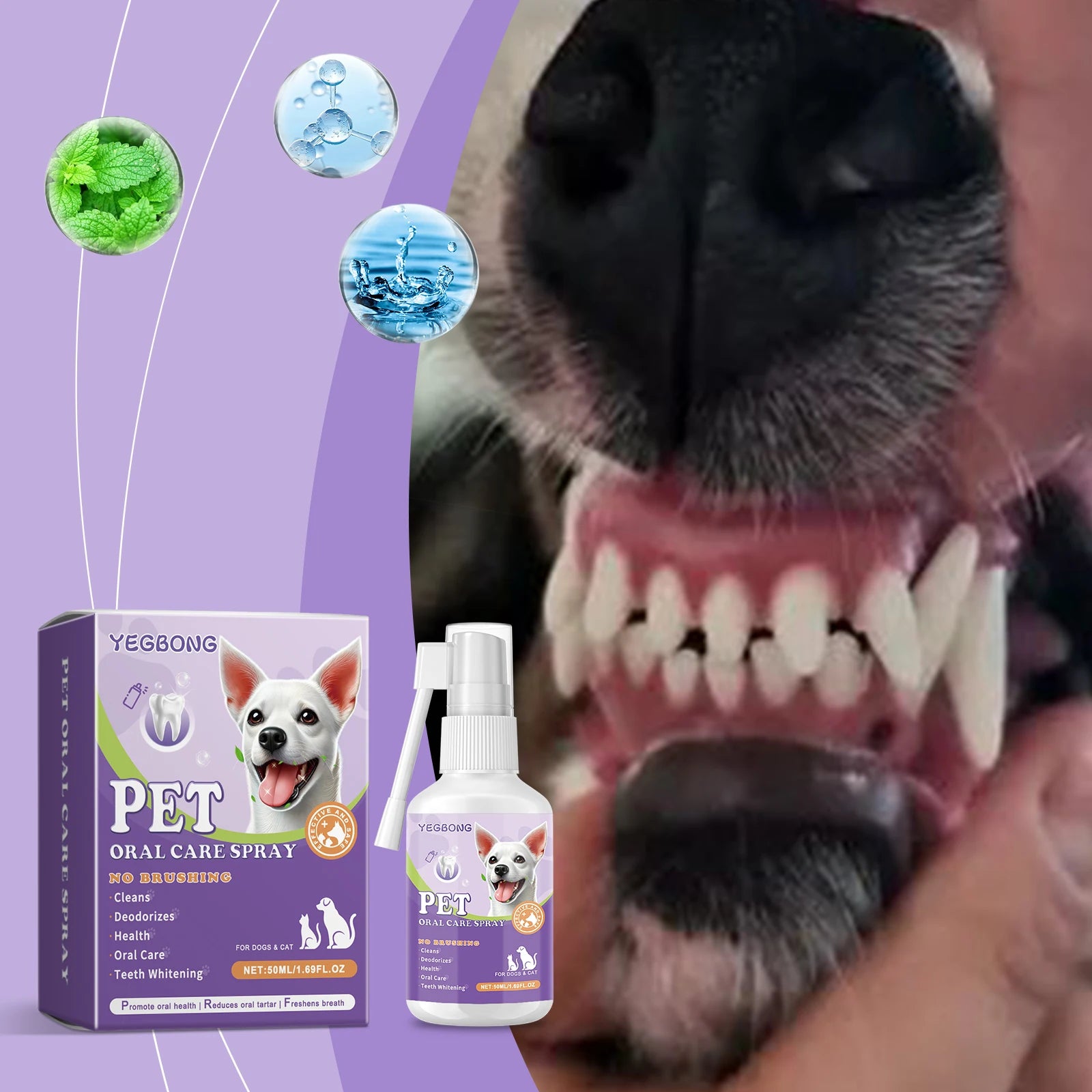 Natural Flea & Tick Repellent Spray for Dogs & Cats — Non-Irritating