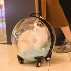Transparent Breathable Cat Trolley Travel Case & Carrier Bag with Cat Nest for Outdoor Use