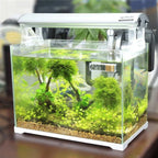 Waterproof Electronic Aquarium Thermometer (Digital LCD, Precise Temp)