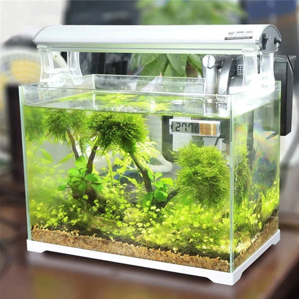 Waterproof Electronic Aquarium Thermometer (Digital LCD, Precise Temp)