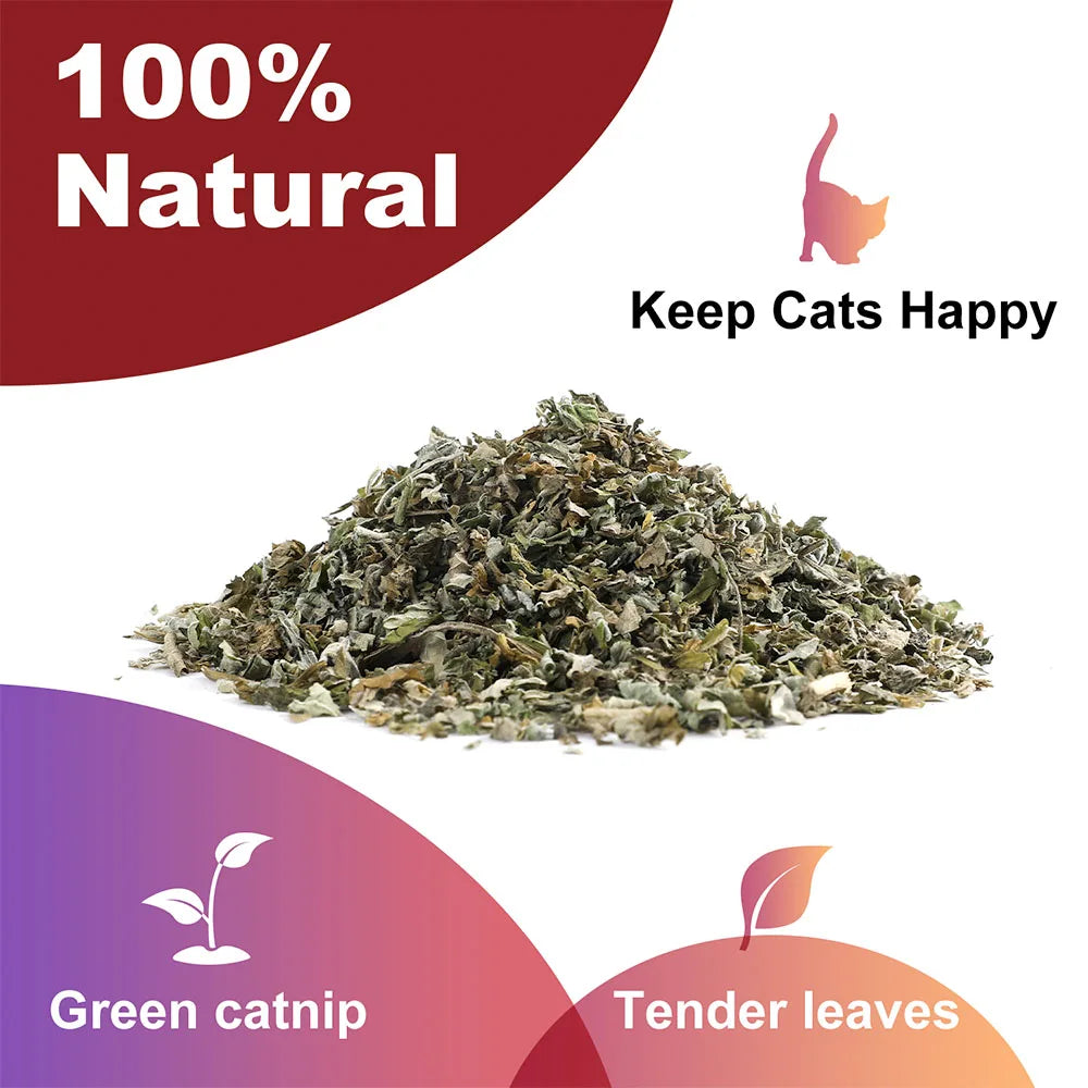 Premium Catnip for Cats (56g Jar)