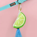 Cute Dog Poop Bag Dispenser with Holder (Biodegradable Bags, Outdoor)
