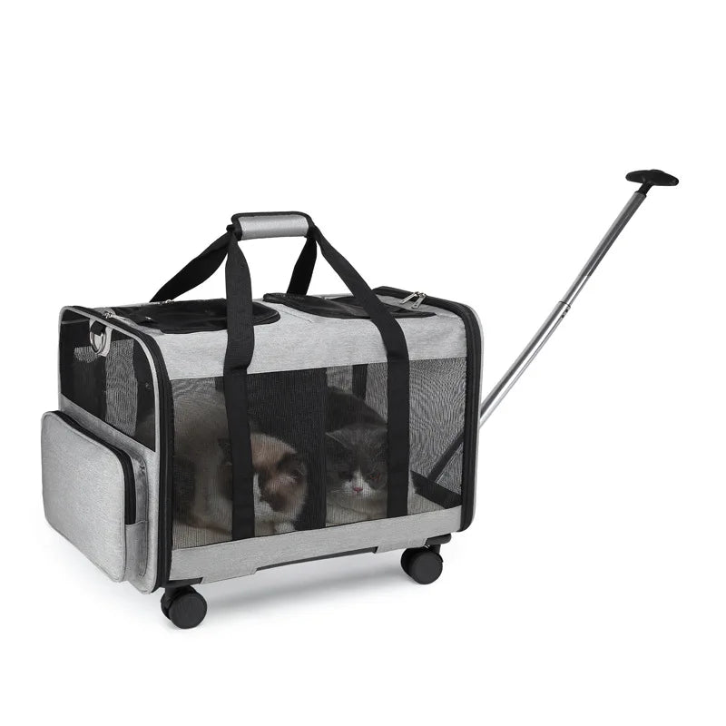 Double-Layer Pull-Out Pet Backpack with Single Shoulder & Handheld Straps for Cats & Dogs