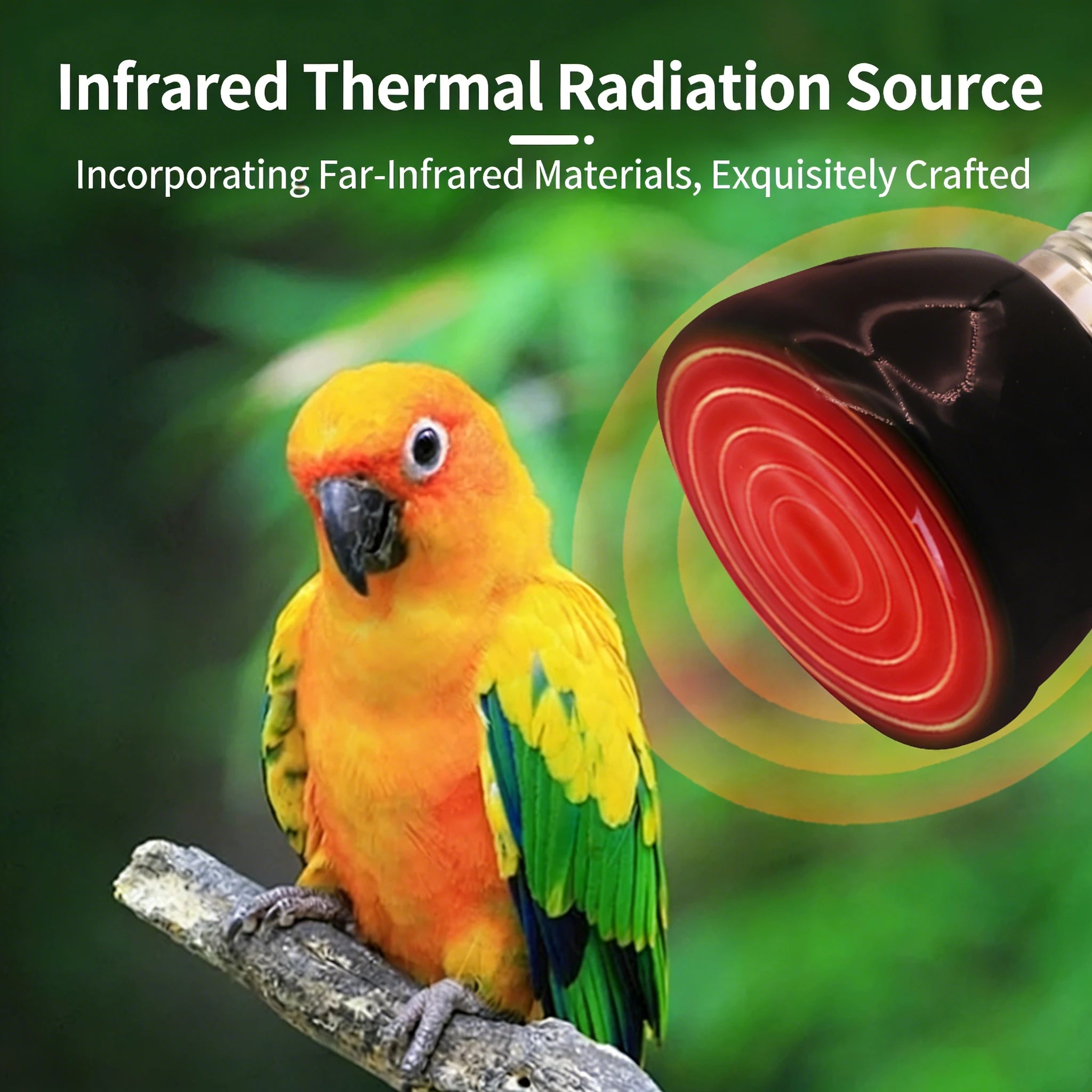 Ceramic Infrared Heat Lamp — No-Light Nighttime Heat for Lizards & Snakes, 25W-100W