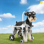 Adjustable Pet Wheelchair Mobility Aid with Wheels for Disabled & Rehabilitating Dogs & Cats