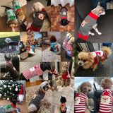 Christmas Winter Sweater for Dogs (Xmas Outfit Coat)