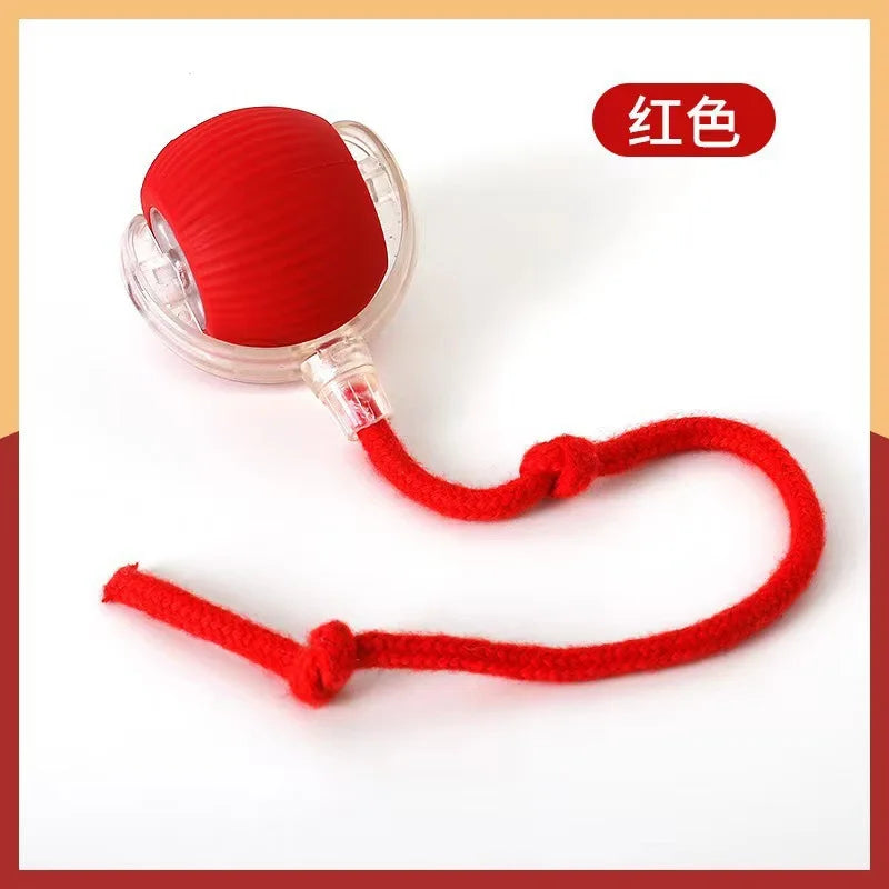 Electric Rolling Ball Toy — USB Rechargeable Auto-Move for Cats & Dogs