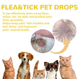Pet Flea & Lice Removal Drops (Anti-Itch, External, Cat & Dog)