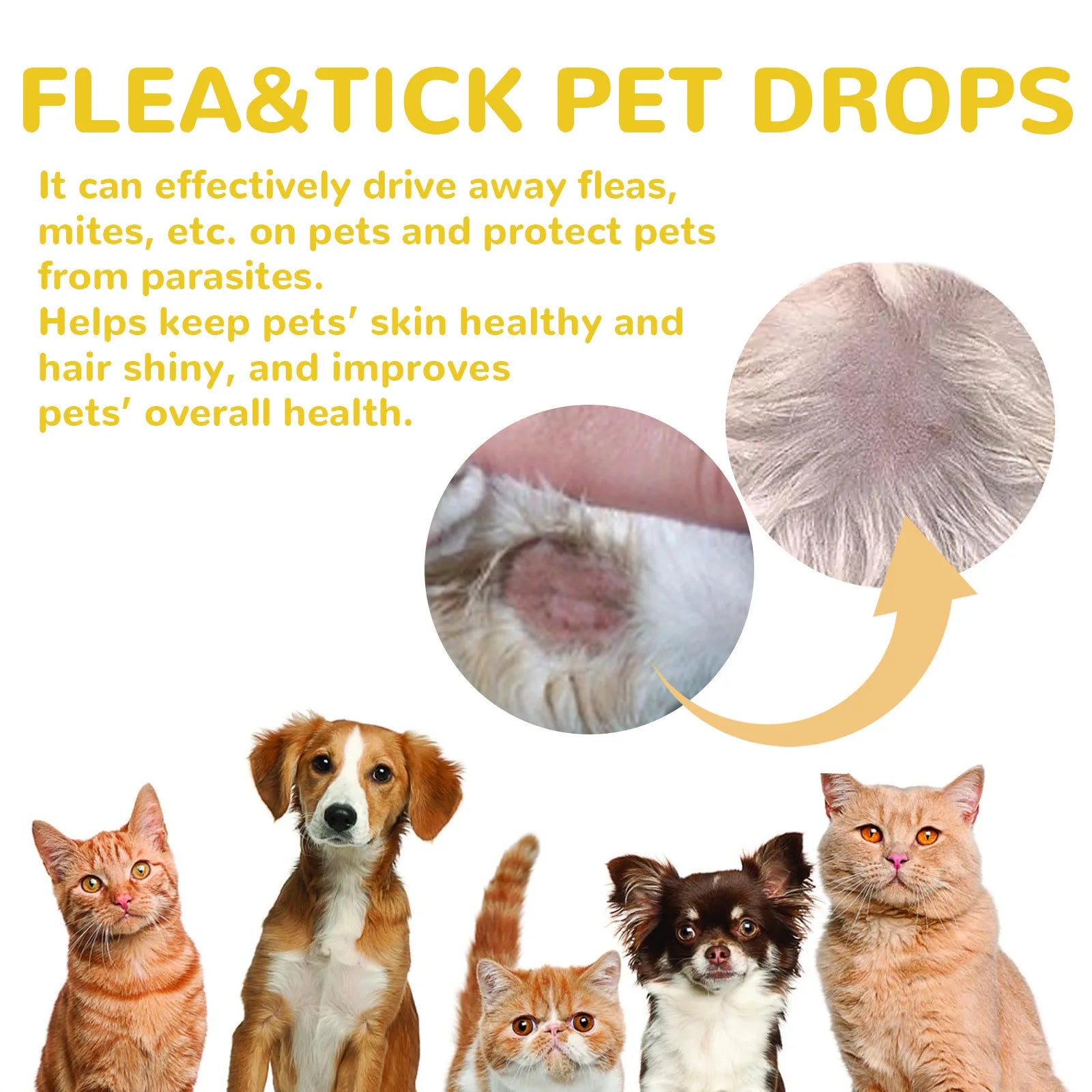 Pet Flea & Lice Removal Drops (Anti-Itch, External, Cat & Dog)