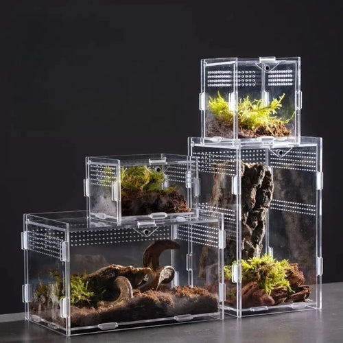 Clear Acrylic Reptile Habitat — Anti-Escape Breeding Box for Lizards, Spiders & Scorpions