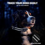 Mini GPS Pet Activity Tracker for Dogs & Cats - Apple Find My, No Monthly Fee