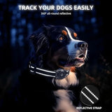 Mini GPS Pet Activity Tracker for Dogs & Cats - Apple Find My, No Monthly Fee