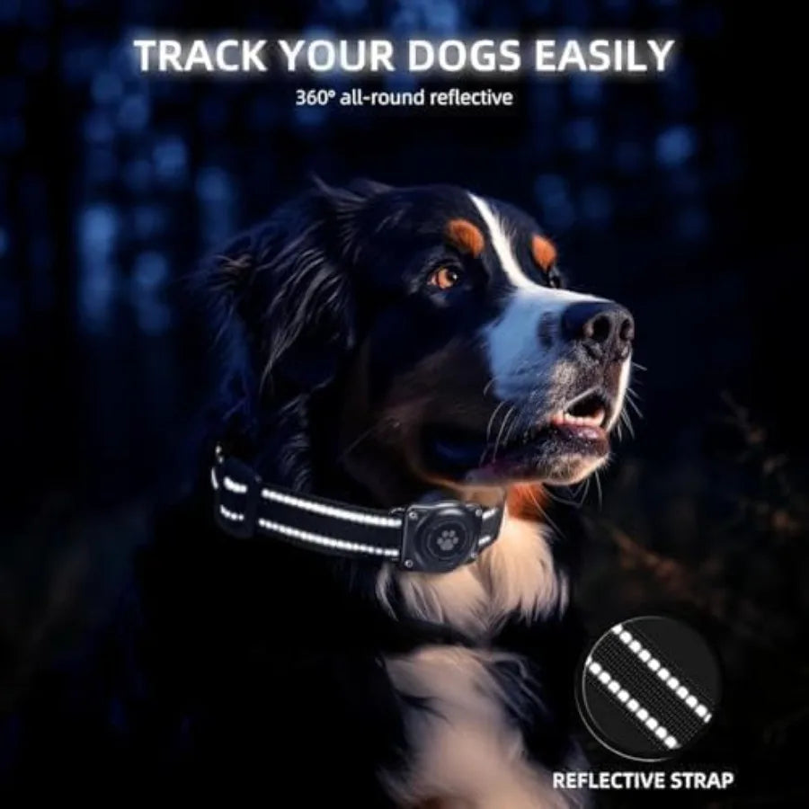 Mini GPS Pet Activity Tracker for Dogs & Cats - Apple Find My, No Monthly Fee