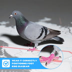 IP67 Waterproof 2.5g Racing Pigeon GPS Tracker - GLONASS/GSM Leg Band with 160-Hour Battery