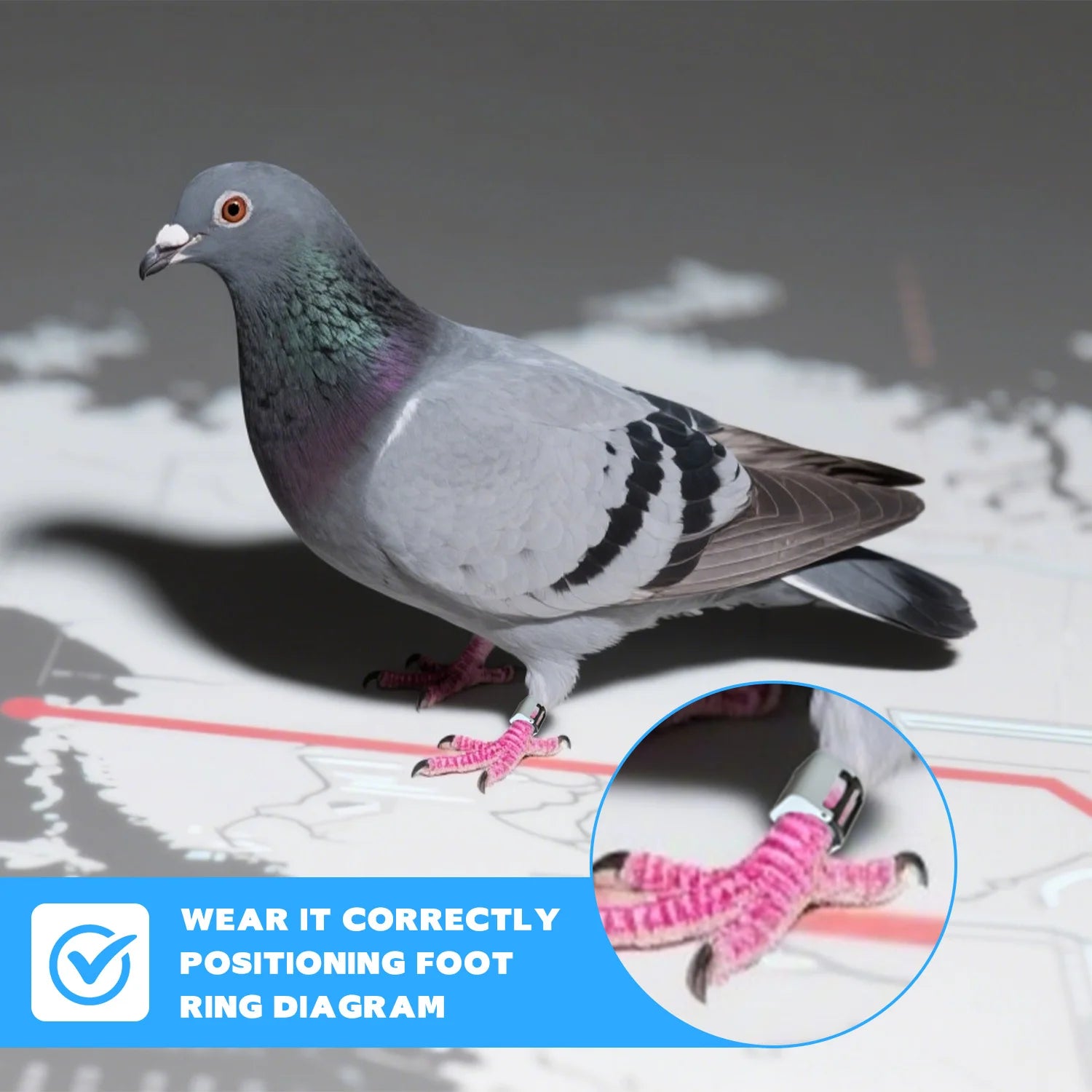 IP67 Waterproof 2.5g Racing Pigeon GPS Tracker - GLONASS/GSM Leg Band with 160-Hour Battery