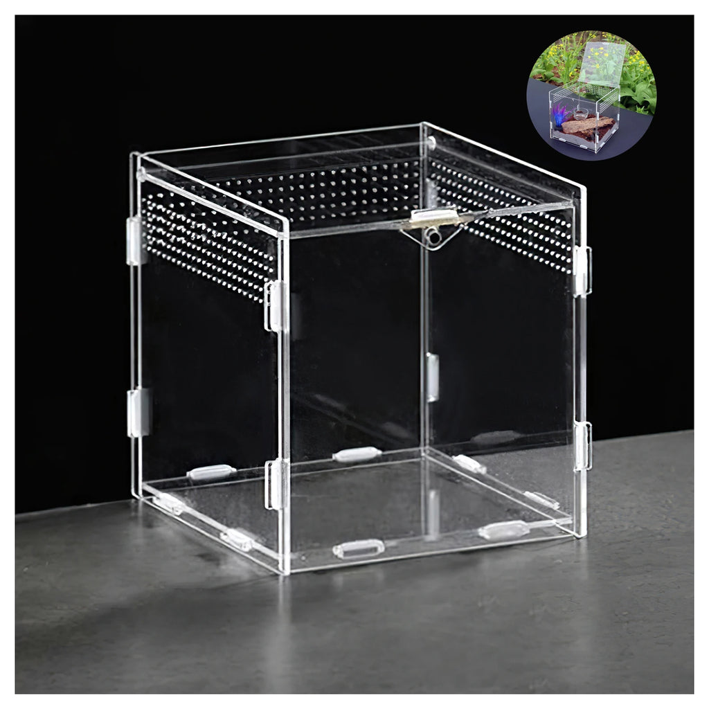 Stackable Acrylic Reptile Feeding Box — Buckle-Splicing Habitat for Small Pets