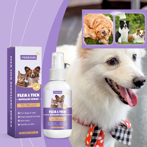 Waterproof Flea & Tick Repellent Spray — Natural Formula for Dogs & Cats