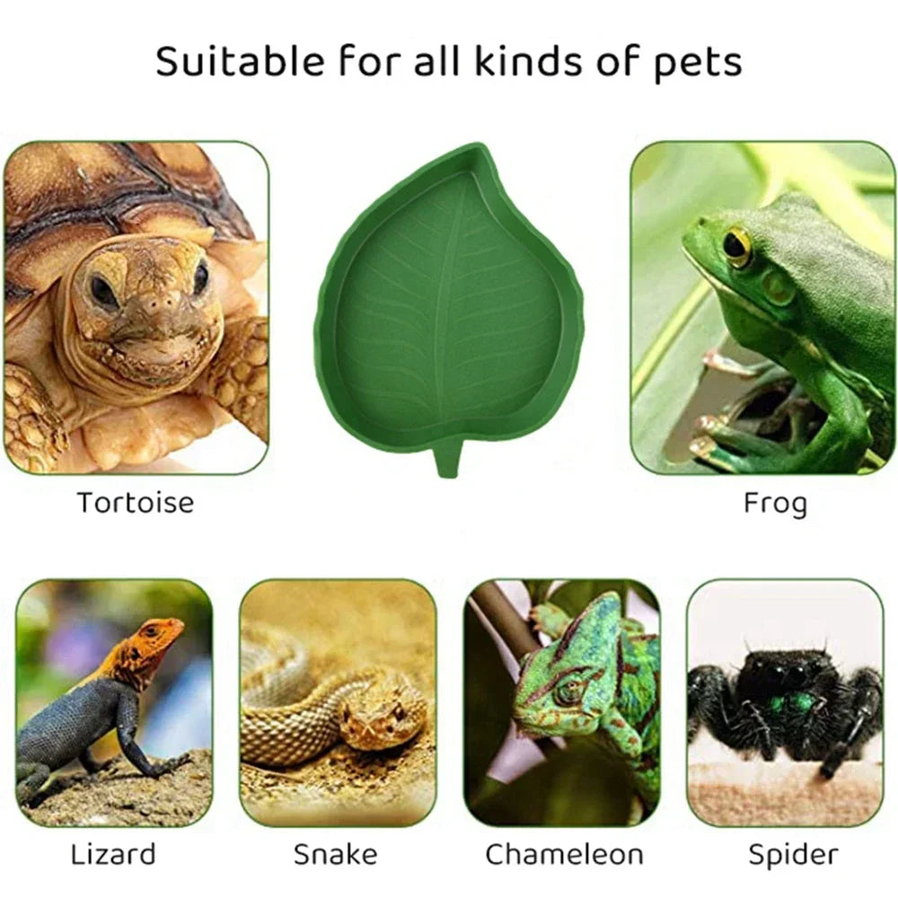 Leaf-Shaped Reptile Feeding Dish — Shallow Water & Food Bowl for Tortoises & Lizards