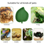 Leaf-Shaped Reptile Feeding Dish — Shallow Water & Food Bowl for Tortoises & Lizards