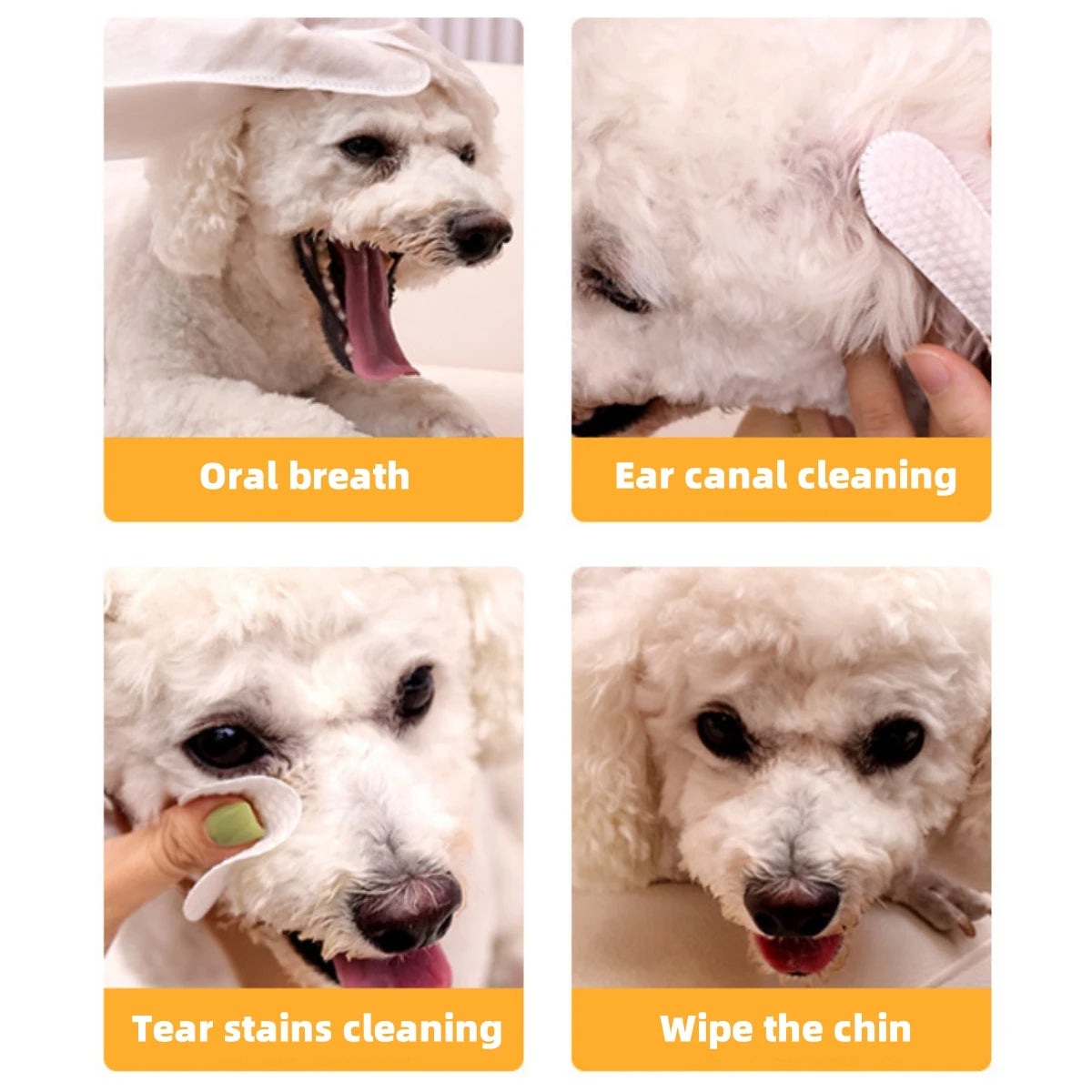 Disposable Pet Finger Cot Wipes — 50-Pack for Teeth, Ears & Eyes