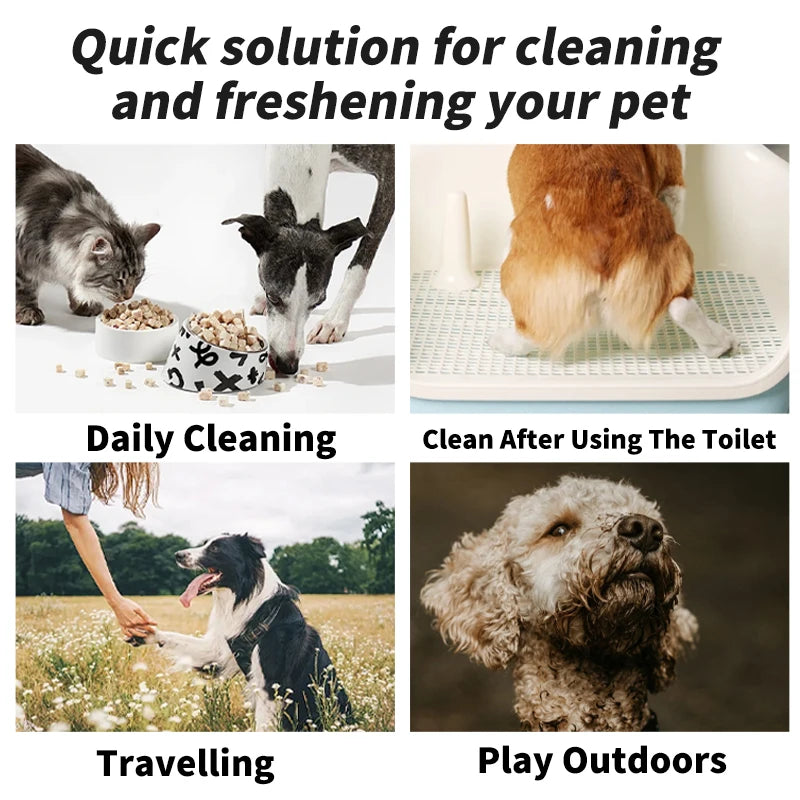 Pure Water Pet Wipes — Single-Use Deodorizing Wipes, 10-Count