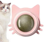 Natural Catnip Wall-Spin Ball — Mint Dental & Digestive Stimulator