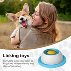 Yogurt Lick Mat for Dogs & Cats — Slow-Licking Calming Snack Plate