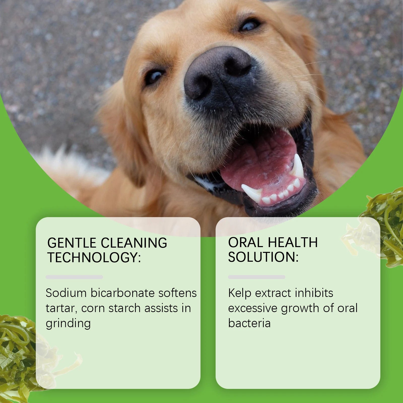 Yegbong Dog Teeth Cleaning Powder — Fresh Breath & Plaque Care