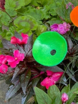 Hummingbird & Butterfly Nectar Feeder — Hanging Drinking Station