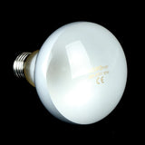 UVA Daylight Heating Bulb for Reptiles — Waterproof, 25W-100W