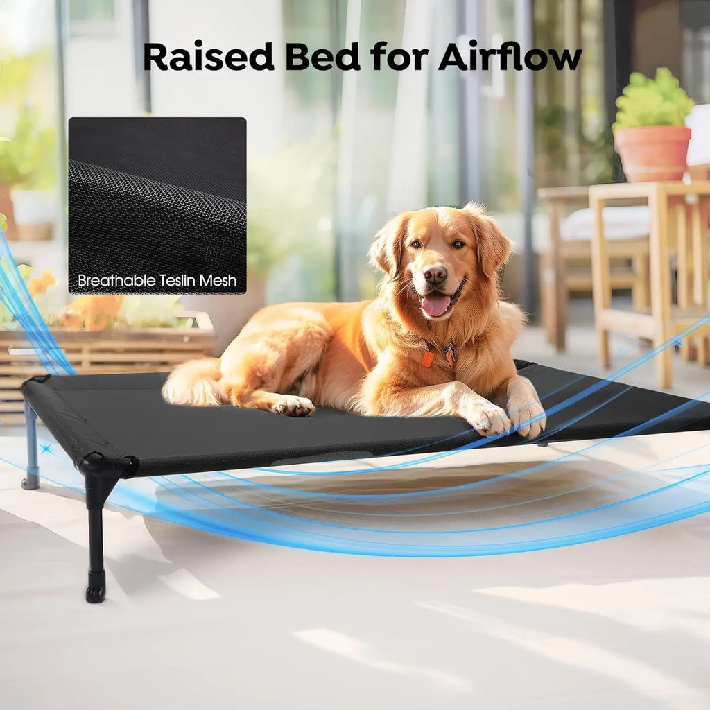 Cooling Elevated Dog Bed with Bolster Cushion, 42x30in