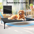 Cooling Elevated Dog Bed with Bolster Cushion, 42x30in