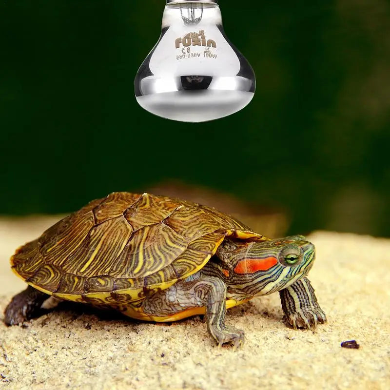 E27 Ceramic Heat Lamp — No-Light Day & Night Reptile Heater, 25W–100W