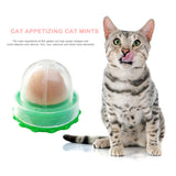 Catnip Licking Gel Treats for Kittens — Nutrition Candy Cats Love